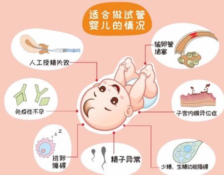 2024年泰国CEF三代试管婴儿一般费用多少?（附试管婴儿成功率参考）